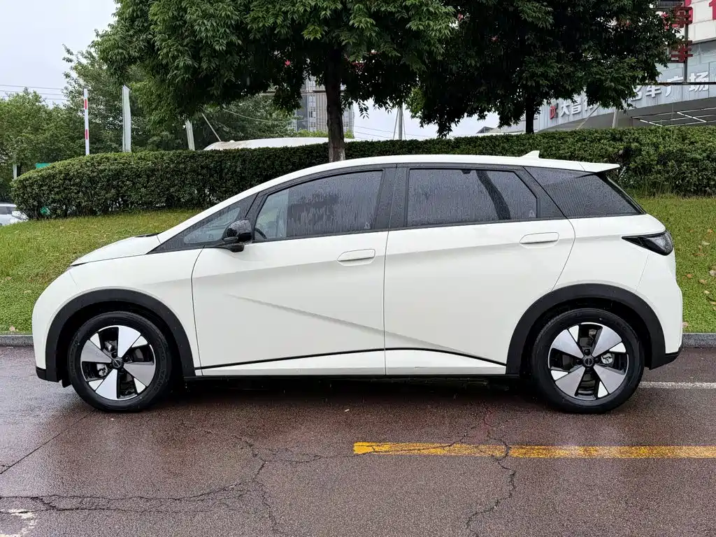 BYD Dolphin — миниатюра 3