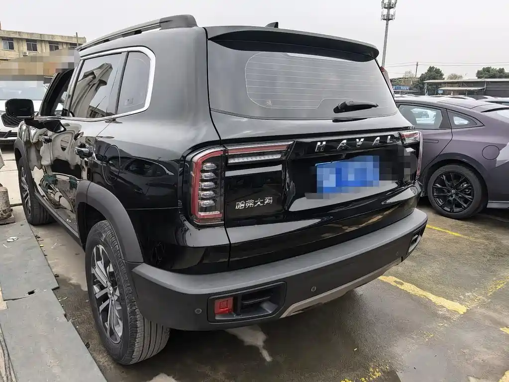 HAVAL BIG DOG