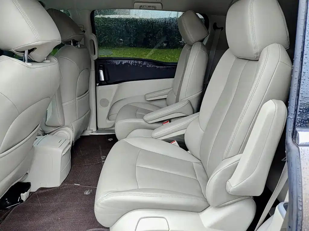 Buick GL8 — миниатюра 10