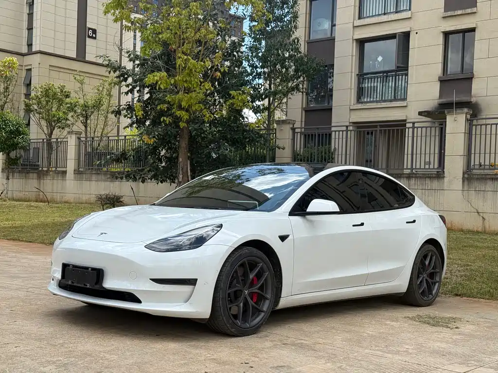 Tesla Model 3 — миниатюра 3