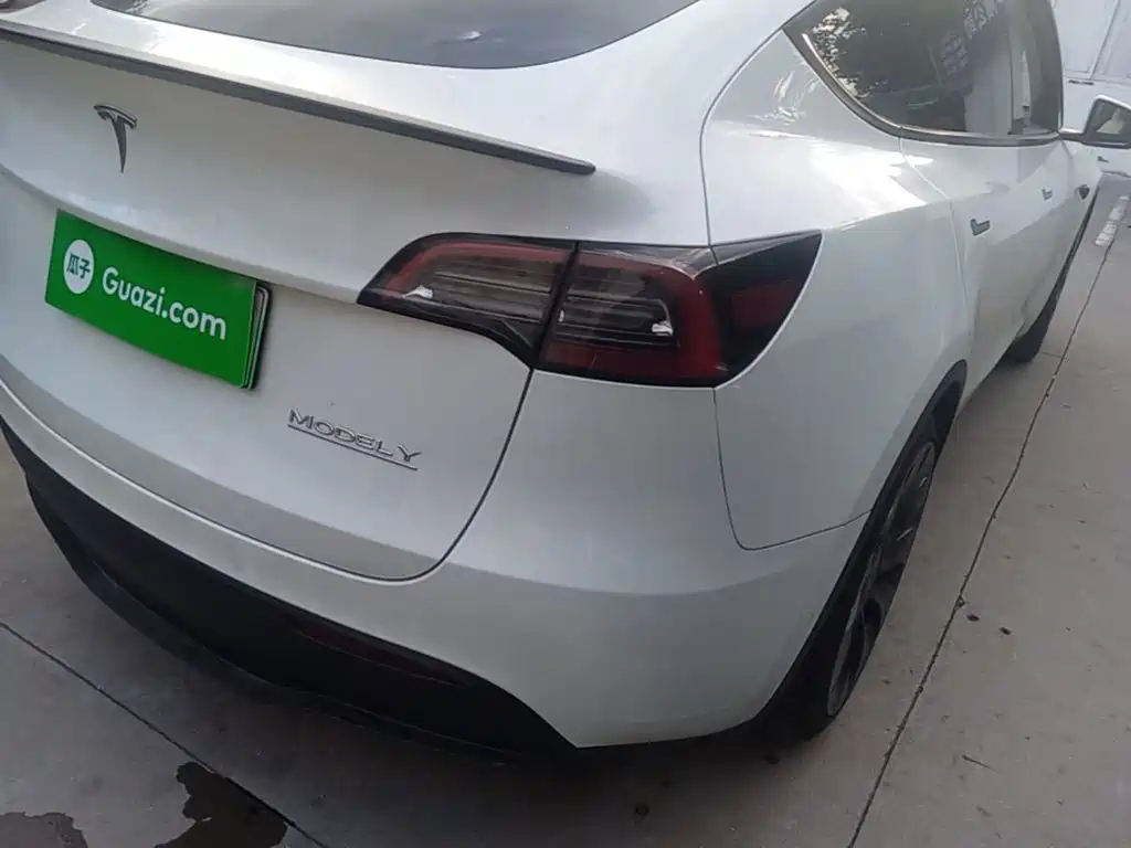 Tesla Model Y — миниатюра 8