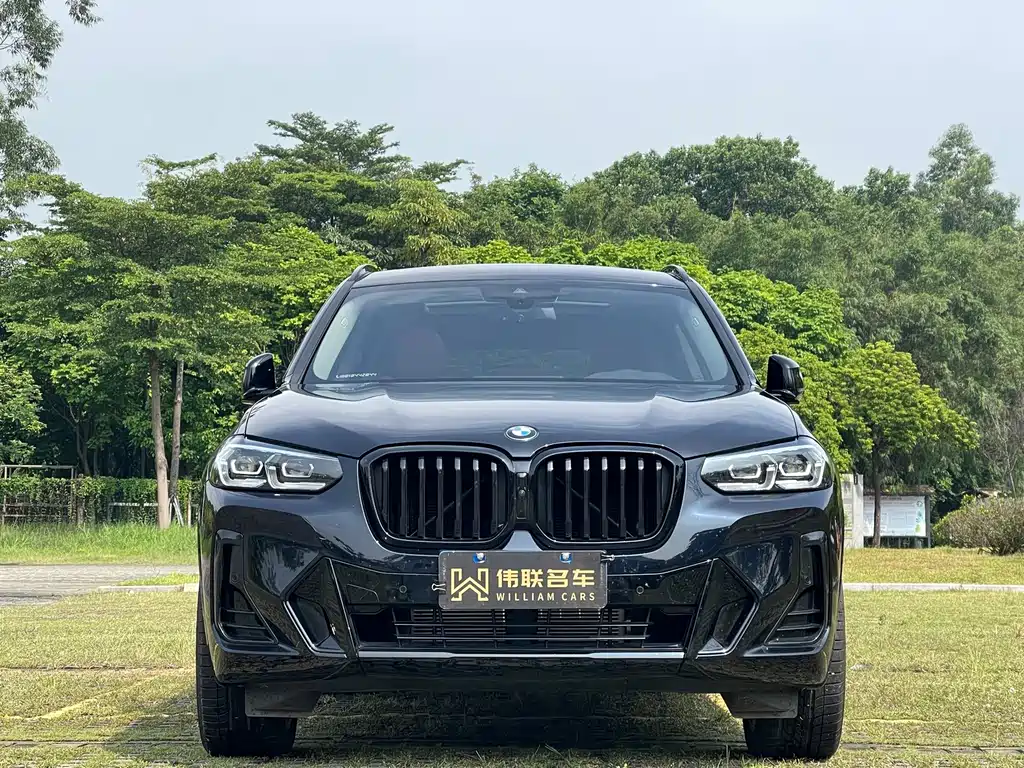 BMW X3 — миниатюра 2