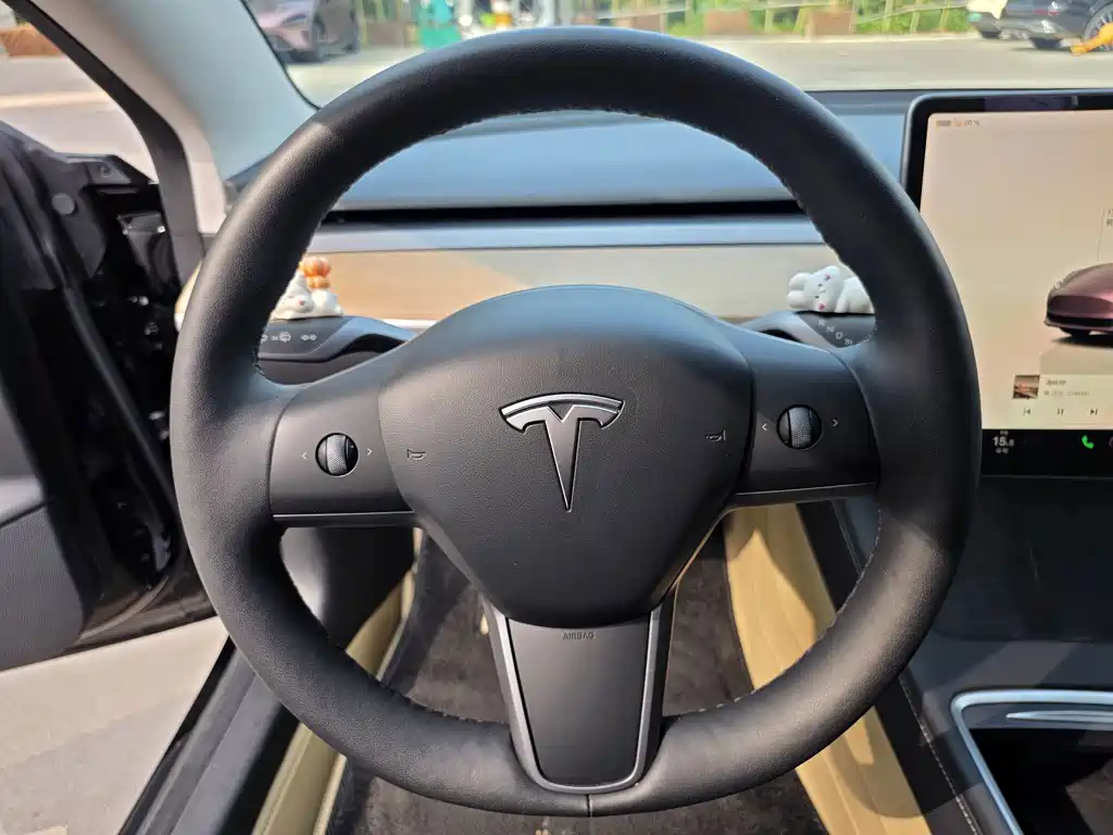 Tesla Model 3 — миниатюра 10