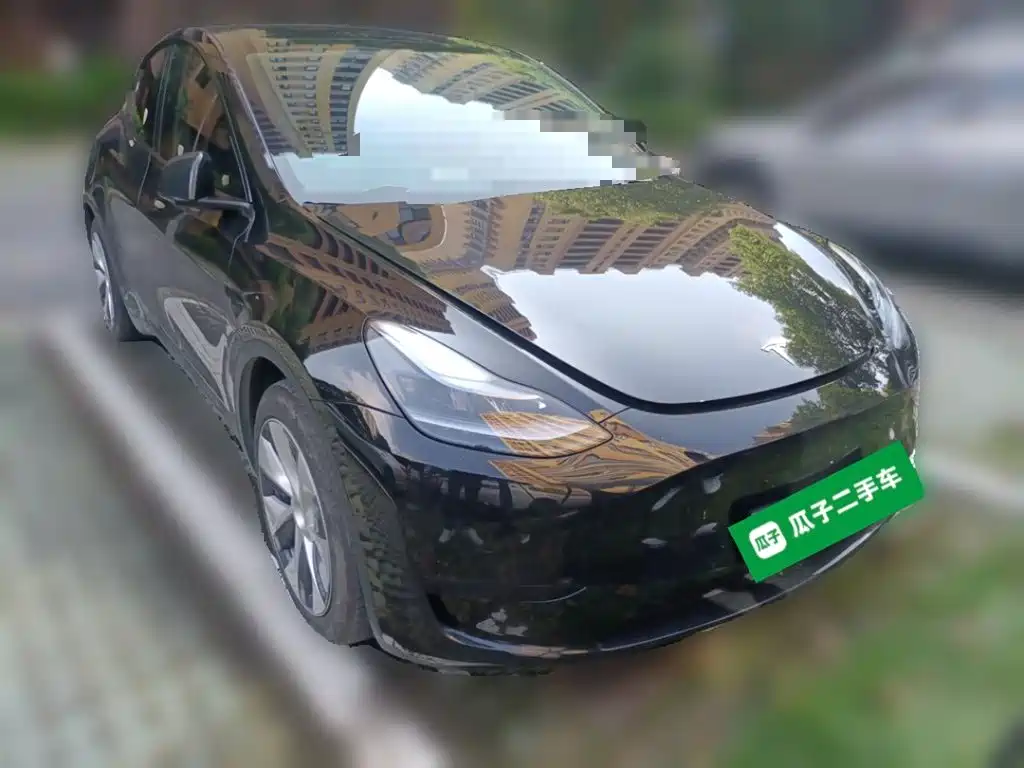 Tesla Model Y — миниатюра 3