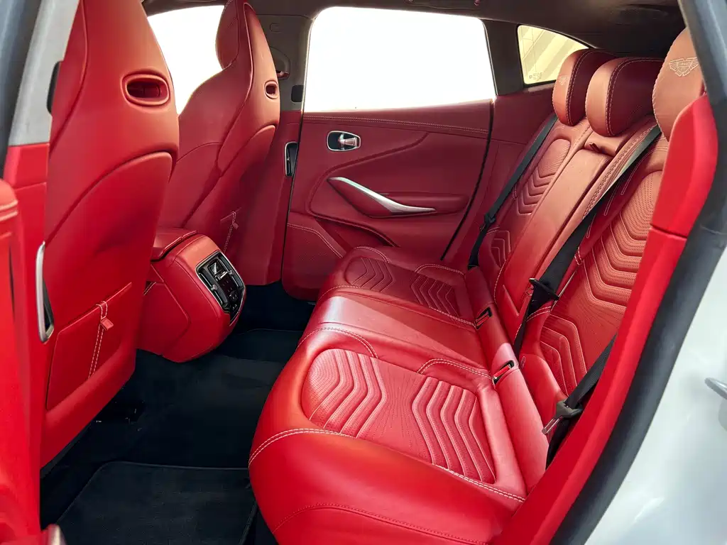 Aston Martin DBX — миниатюра 14