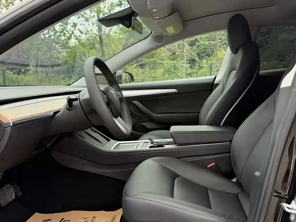 Tesla Model 3 — миниатюра 6