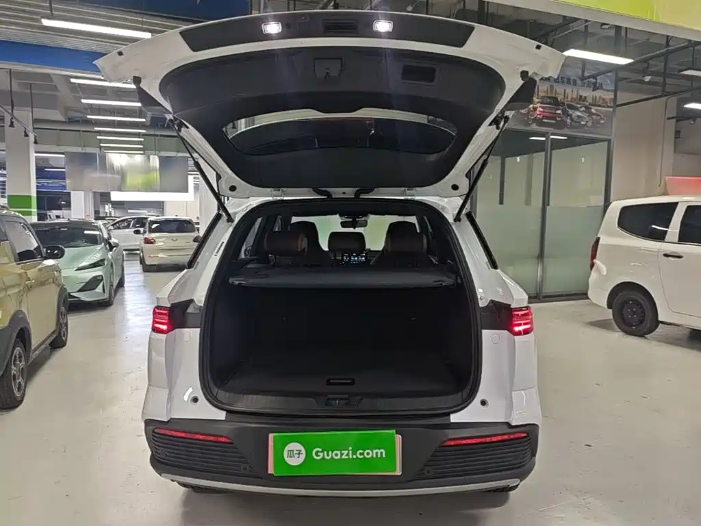 BYD Pro New Energy — миниатюра 19