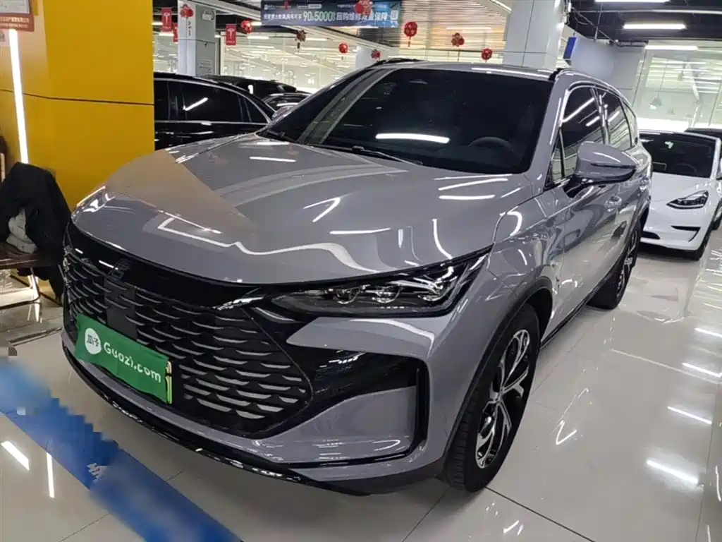 Byd Tang New Energy 2024