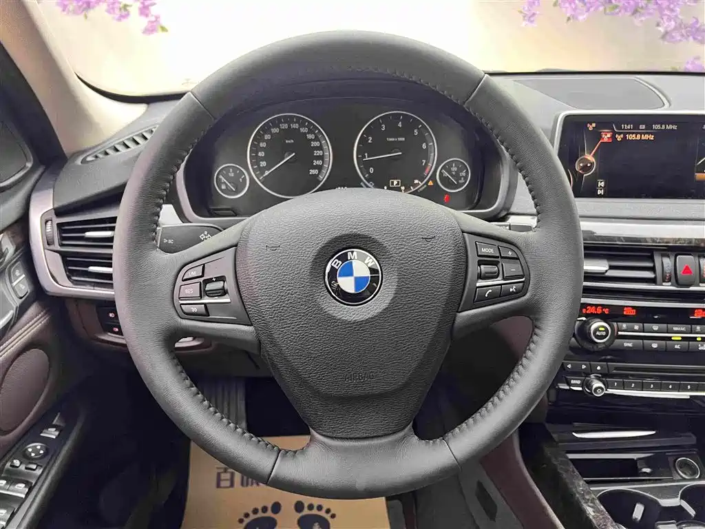 BMW X5 (Import) — миниатюра 14