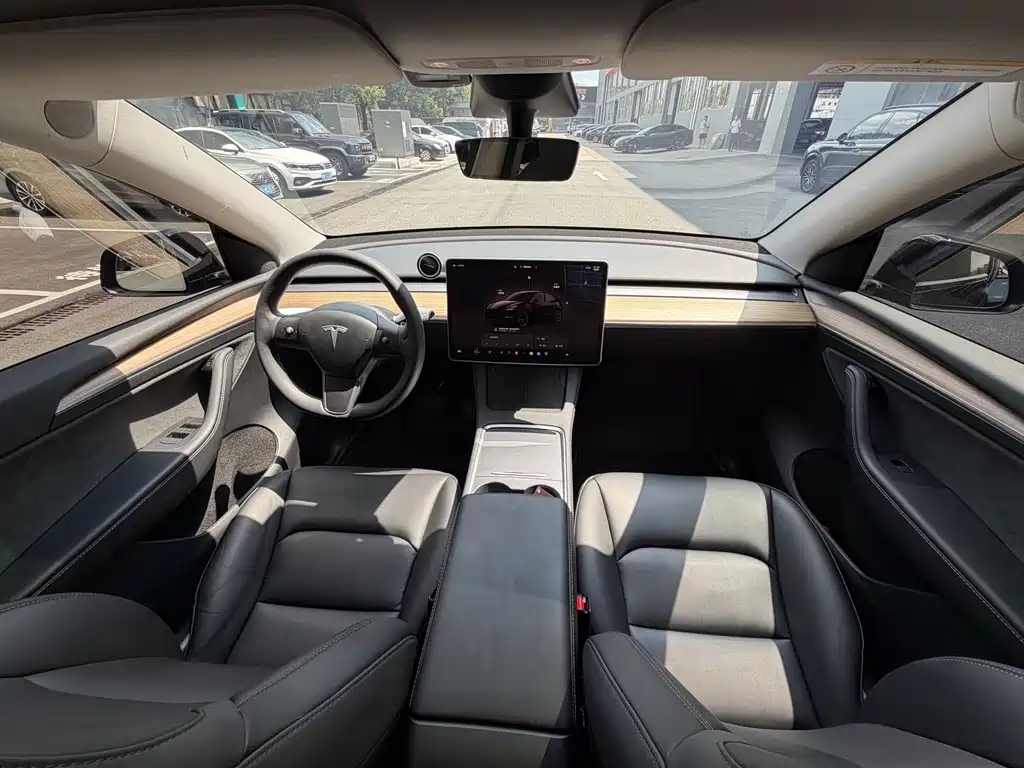 Tesla Model Y — миниатюра 6