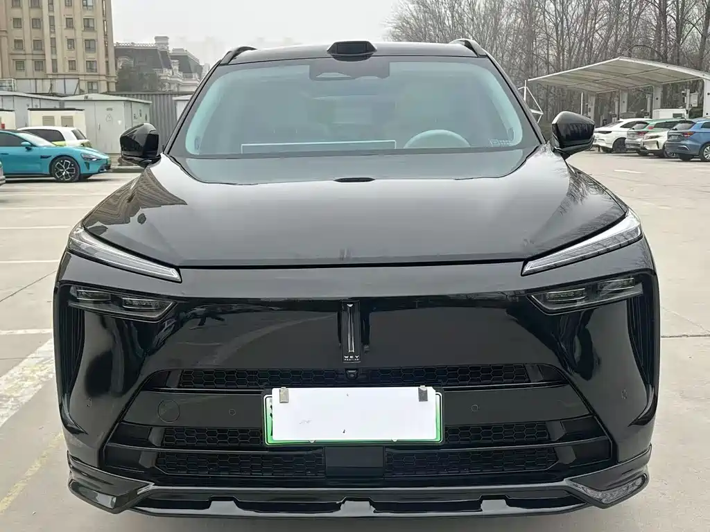 WEI PAI WEI BRAND BLUE MOUNTAIN