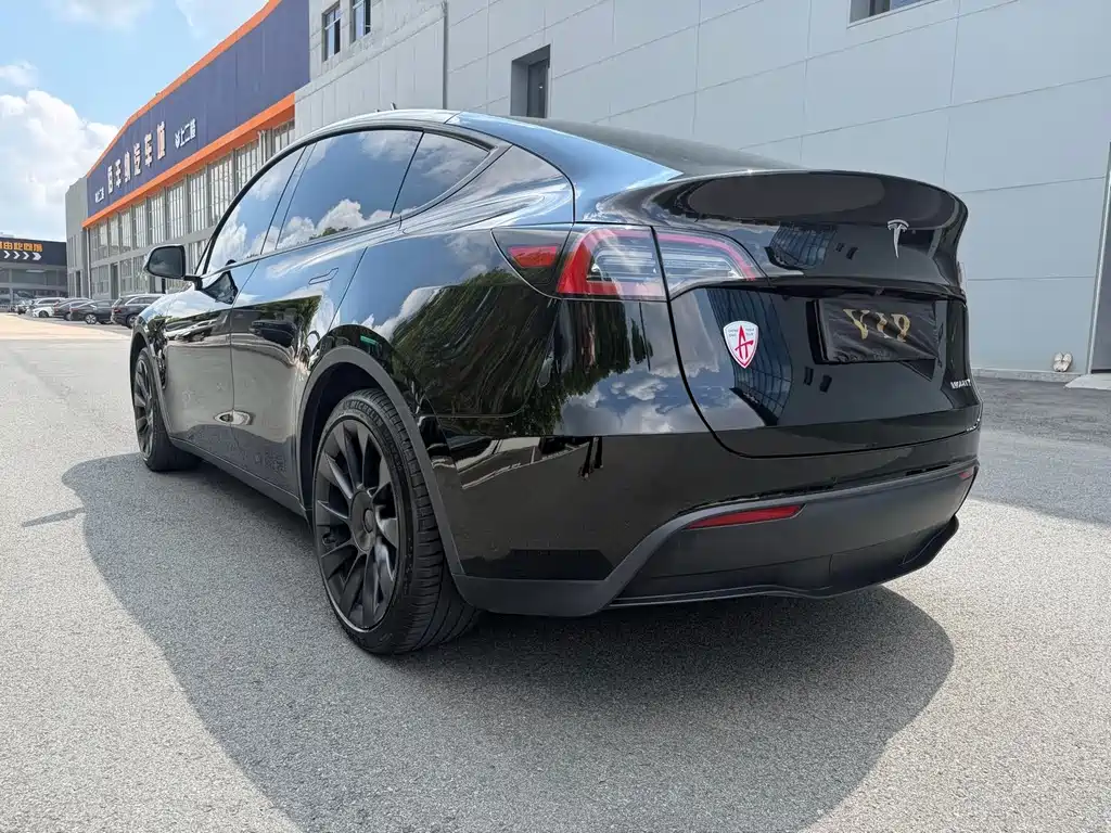 Tesla Model Y — миниатюра 11