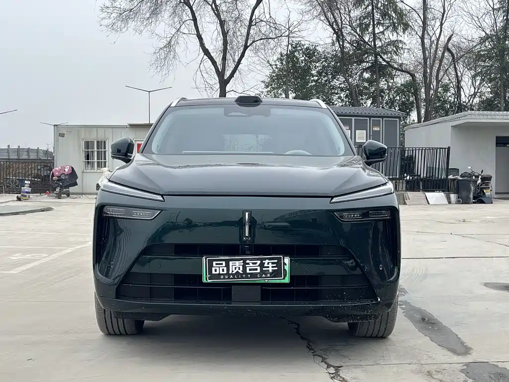 WEI PAI WEI BRAND BLUE MOUNTAIN