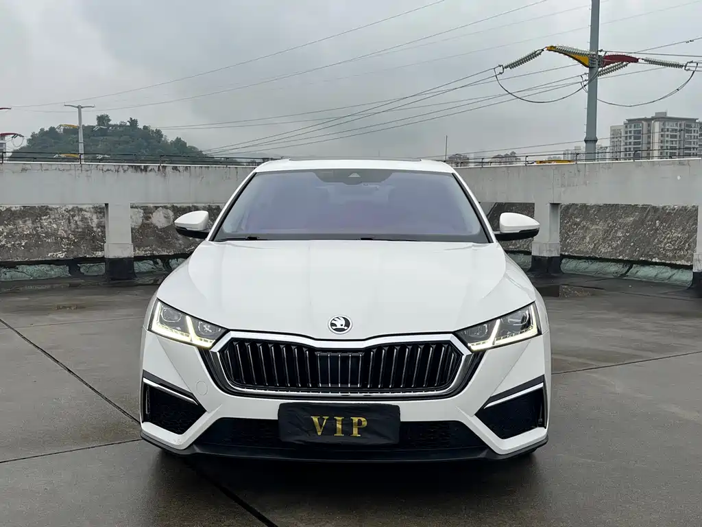 Skoda Octavia — миниатюра 2