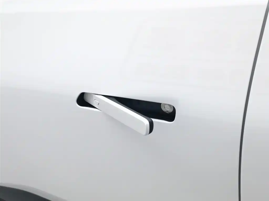 TOYOTA PLATINUM WISDOM 3X