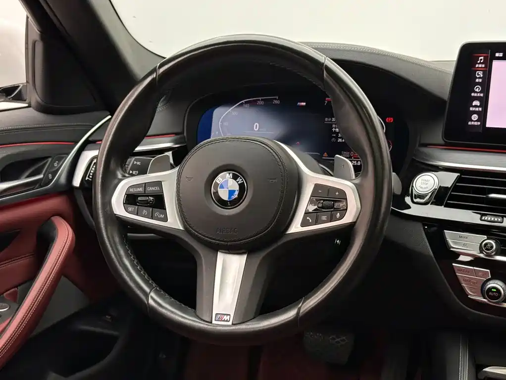 BMW 5 Series — миниатюра 12