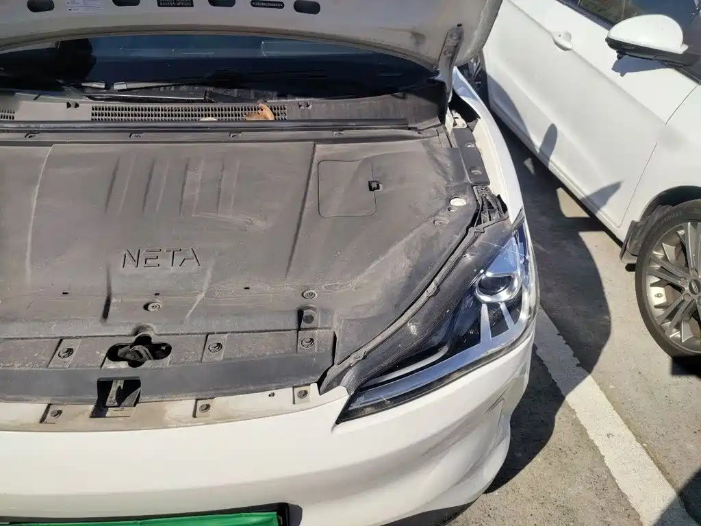 Neta Neta V — миниатюра 20