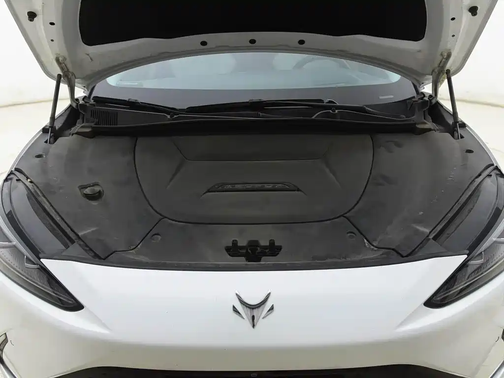 ARCFOX EXTREME FOX POLAR FOX ALPHA S