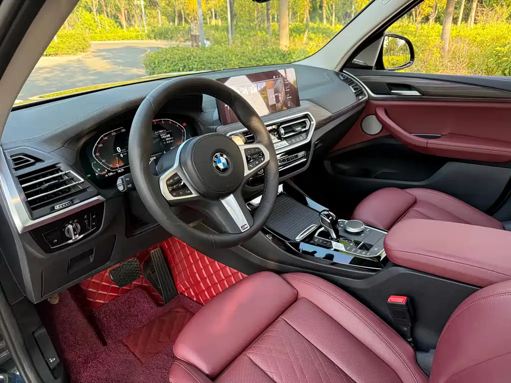 BMW X3 — миниатюра 8