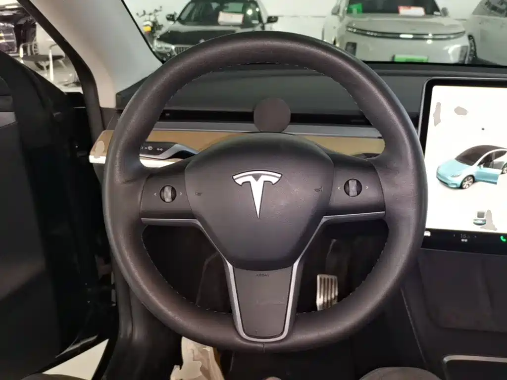 Tesla Model Y — миниатюра 11