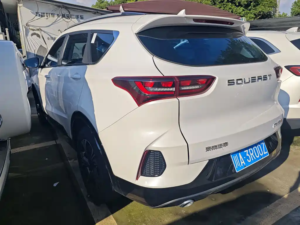 Soueast DX8S — миниатюра 13