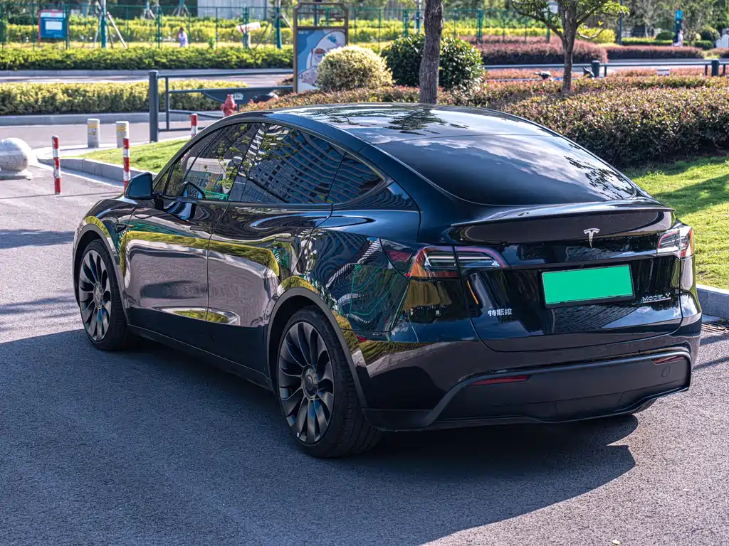 Tesla Model Y — миниатюра 6