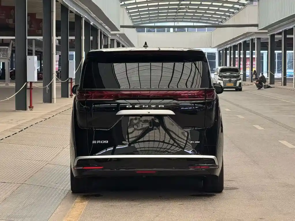 Denza Denza D9 — миниатюра 16