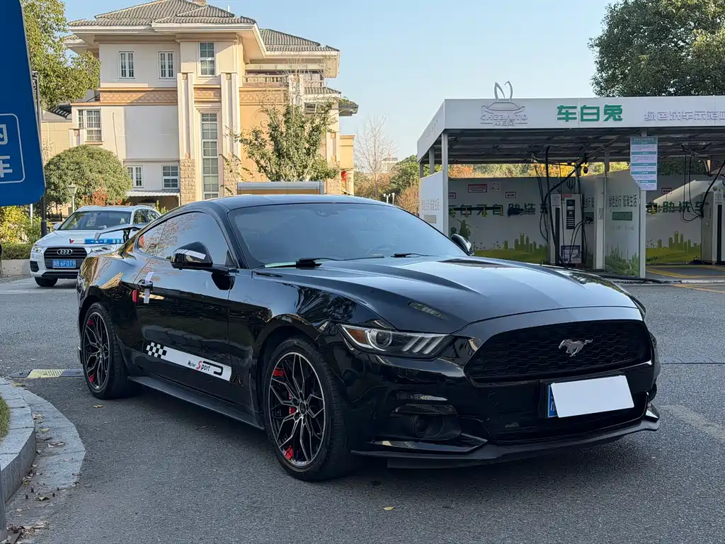 Ford Mustang — миниатюра 3