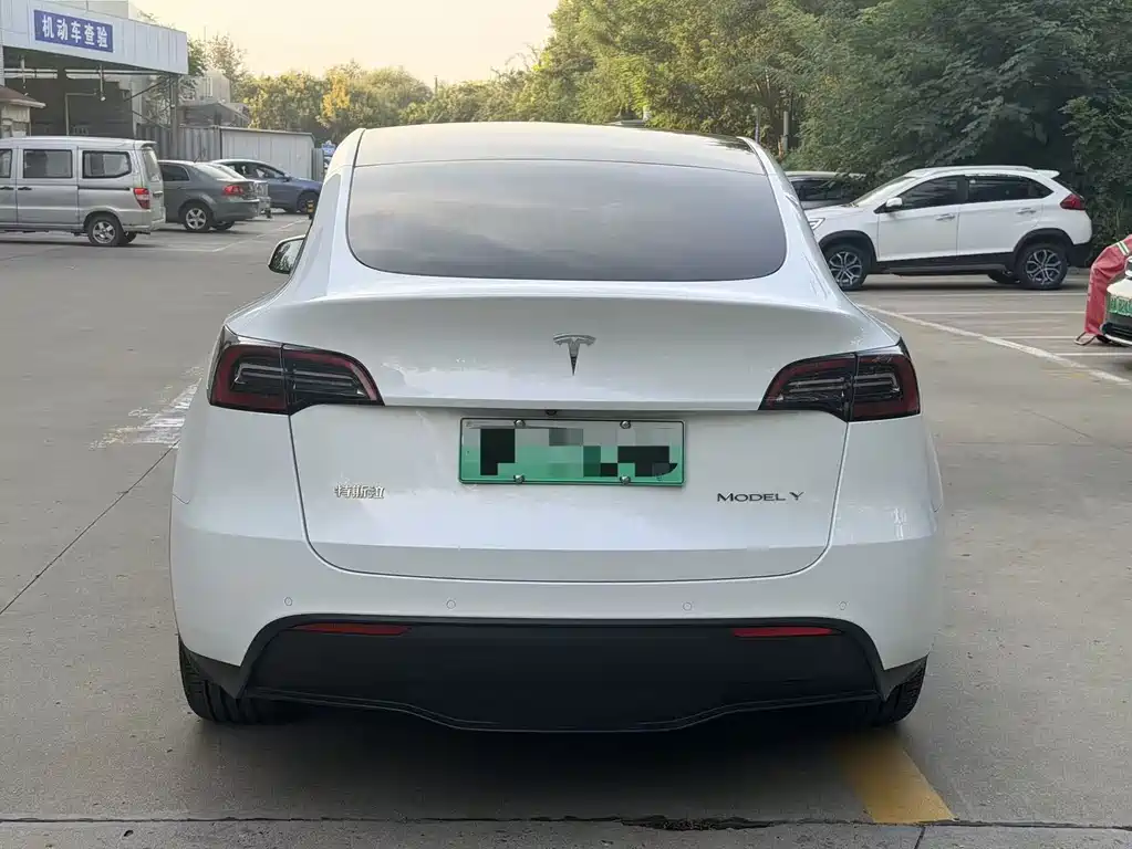 Tesla Model Y — миниатюра 4