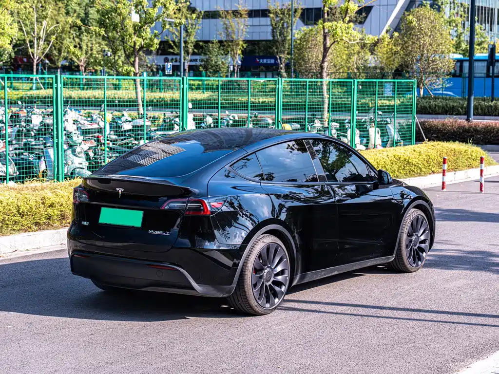 Tesla Model Y — миниатюра 5