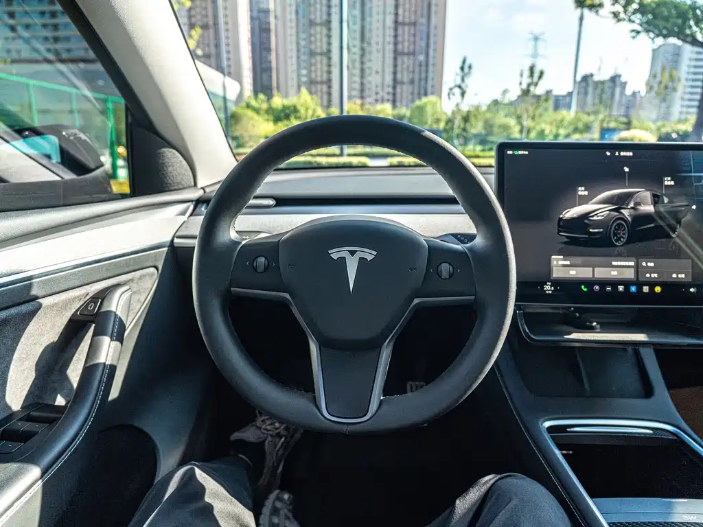Tesla Model Y — миниатюра 11