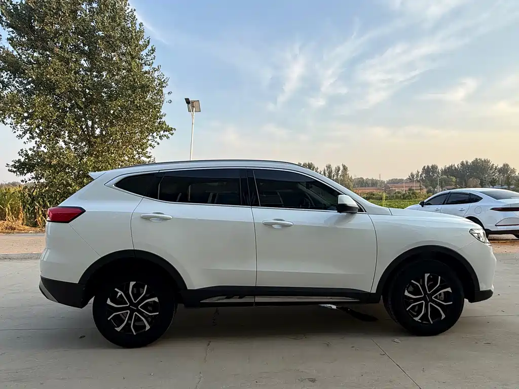 Haval H6 — миниатюра 8