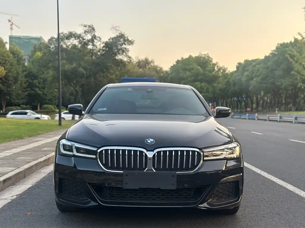 BMW 5 Series 5 2022 530Li Premium M Sport