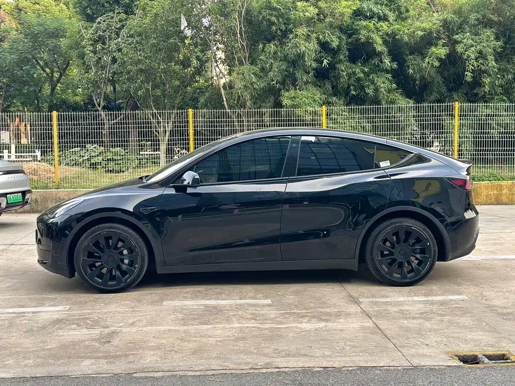 Tesla Model Y — миниатюра 5