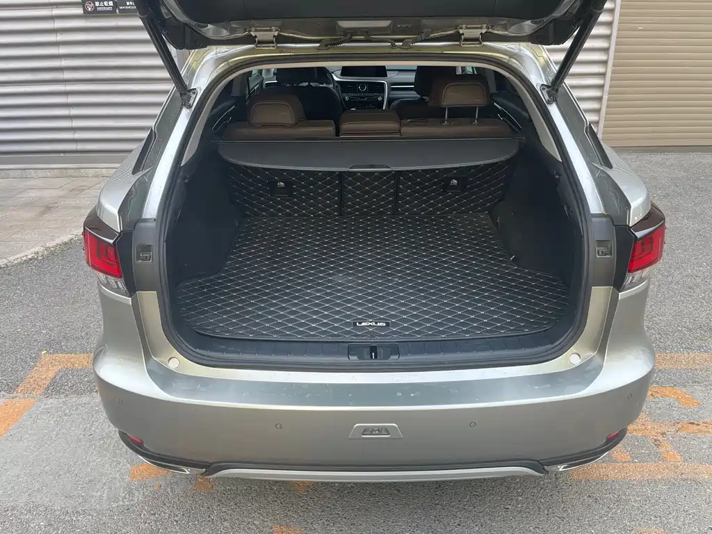 Lexus RX 2020 300 Elegant VI