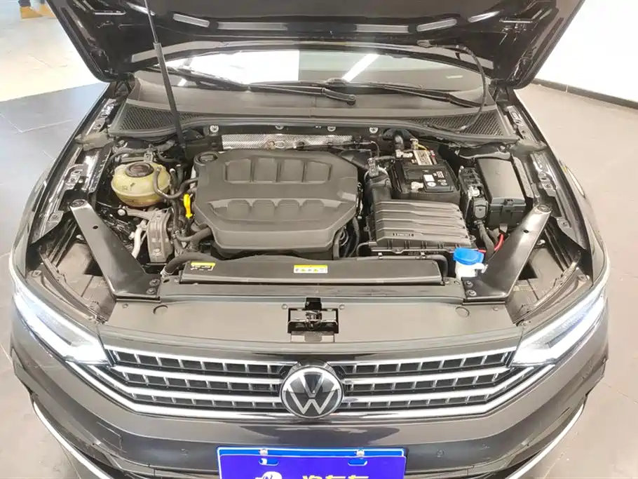 Volkswagen Magotan 2023 200 330TSI DSG Luxury
