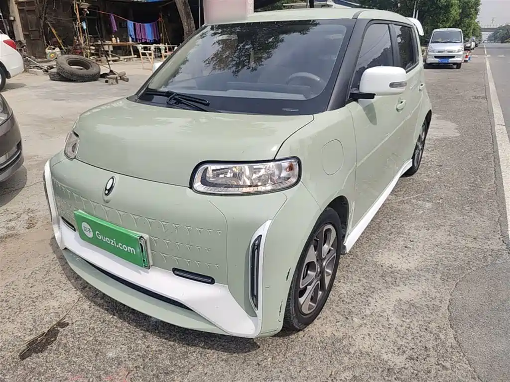 Ora Ora White Cat 2022