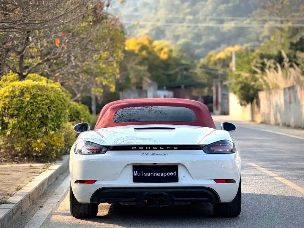 Porsche 718 — миниатюра 8