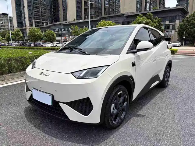2025 BYD Seagull