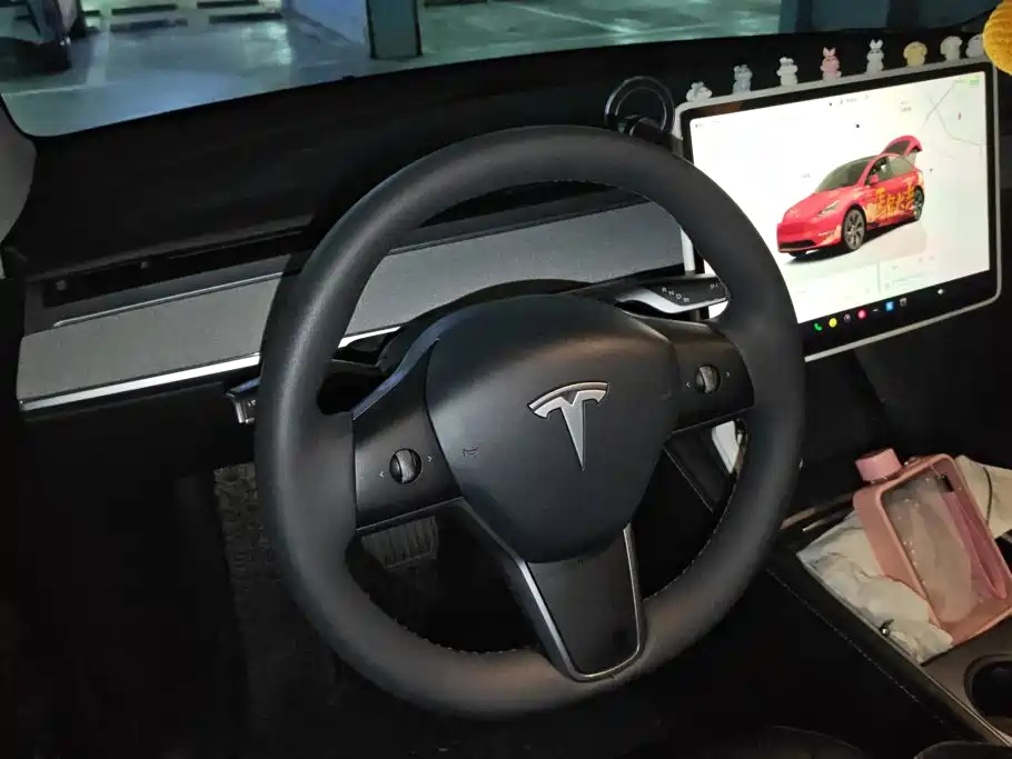 Tesla Model Y — миниатюра 15