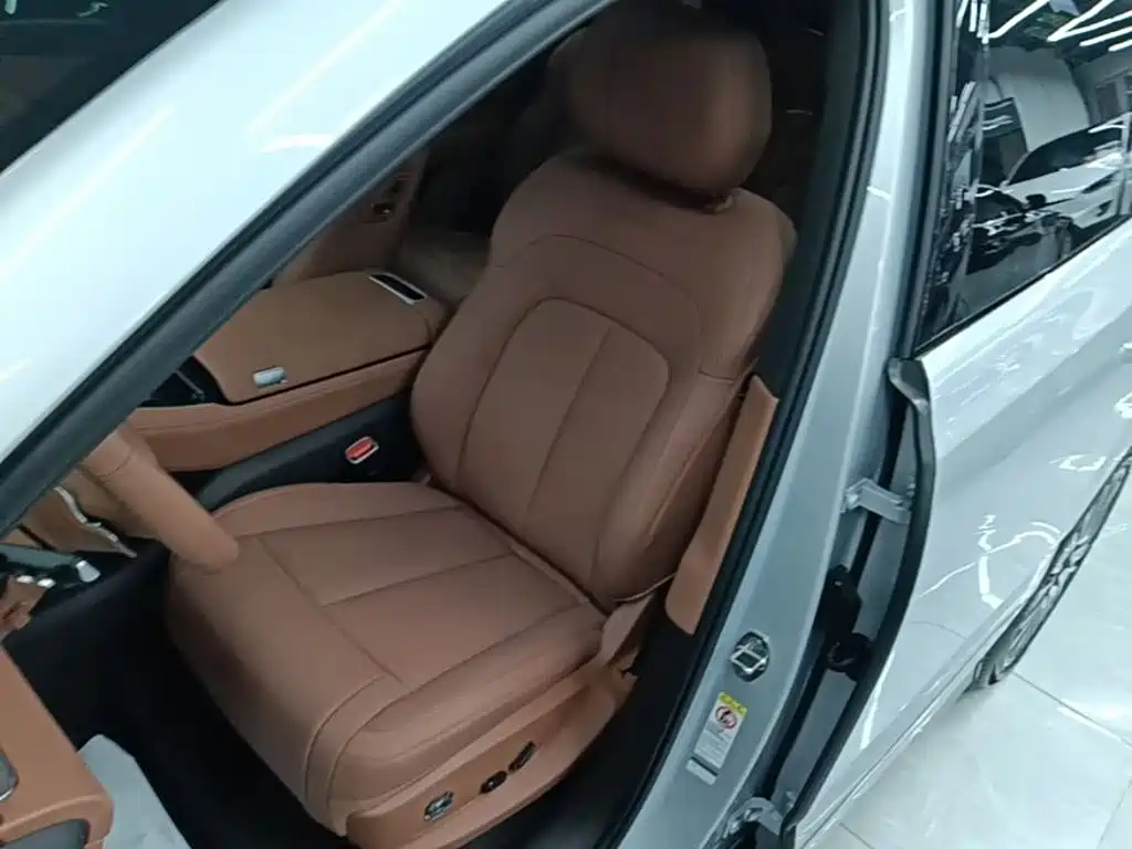 Denza Denza N8L — миниатюра 15