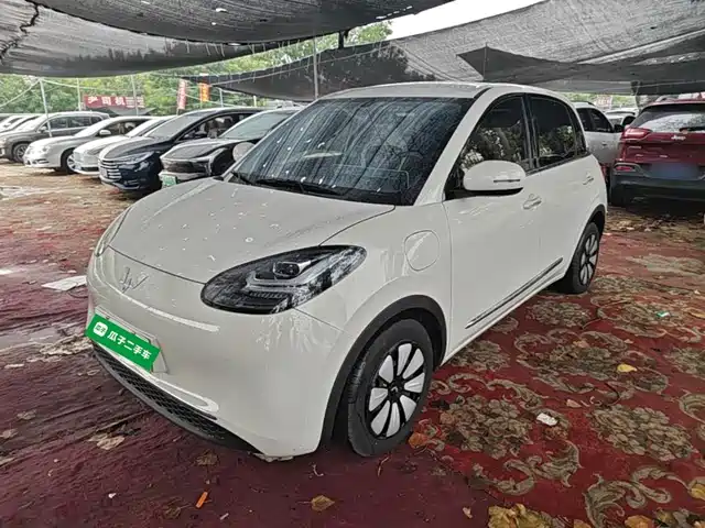 2024 Wuling Motors Binguo