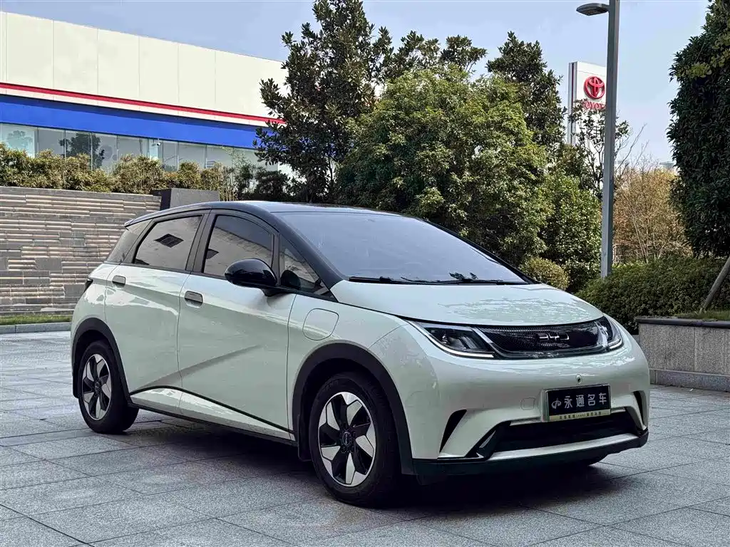 BYD Dolphin — миниатюра 3