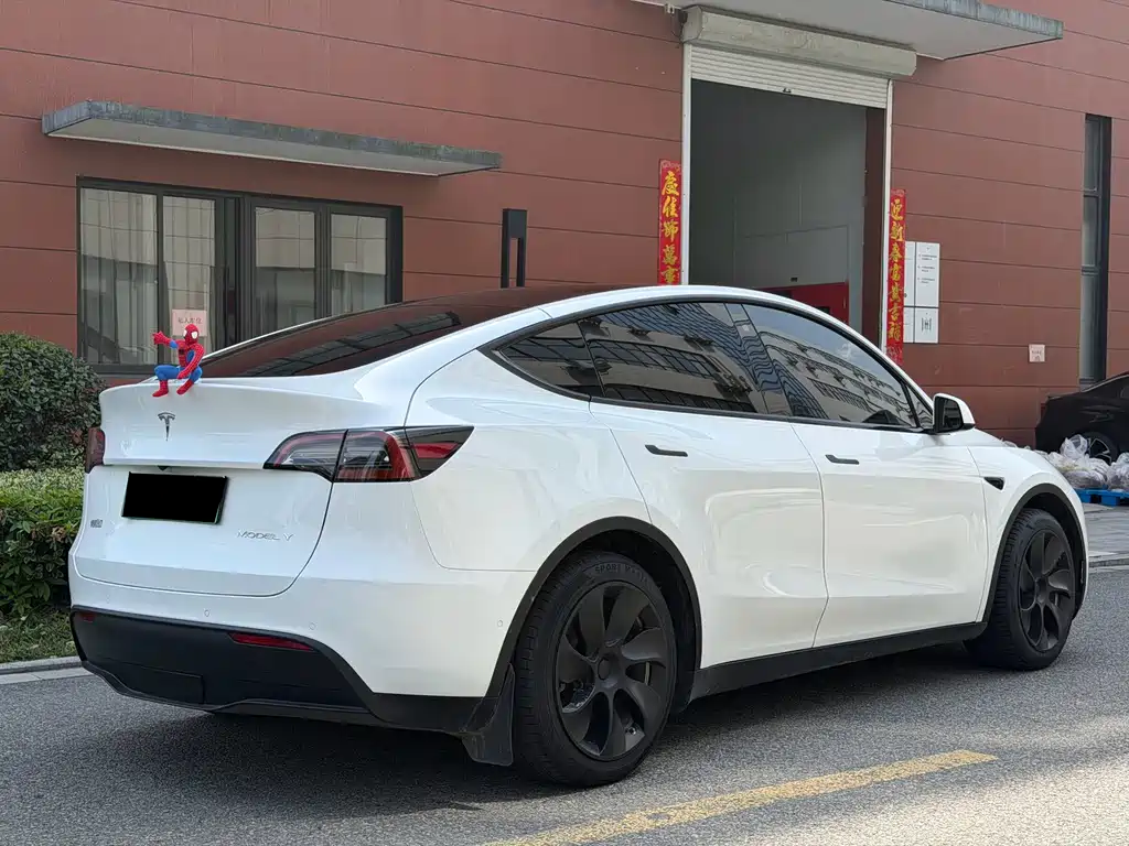 Tesla Model Y — миниатюра 15