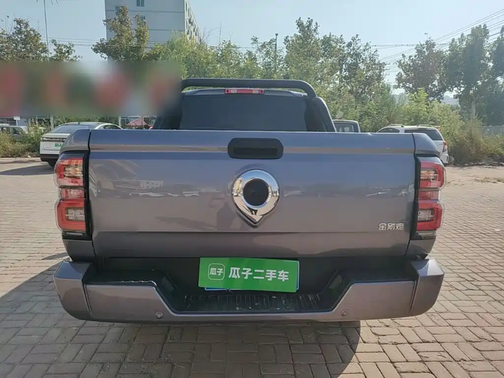 Great Wall King Kong Pao — миниатюра 6