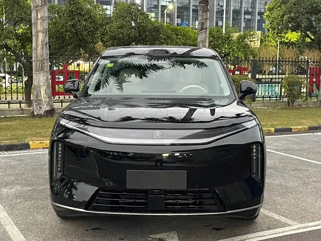 BYD Datang — миниатюра 2