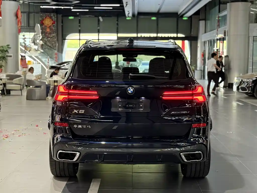 BMW X5 — миниатюра 9