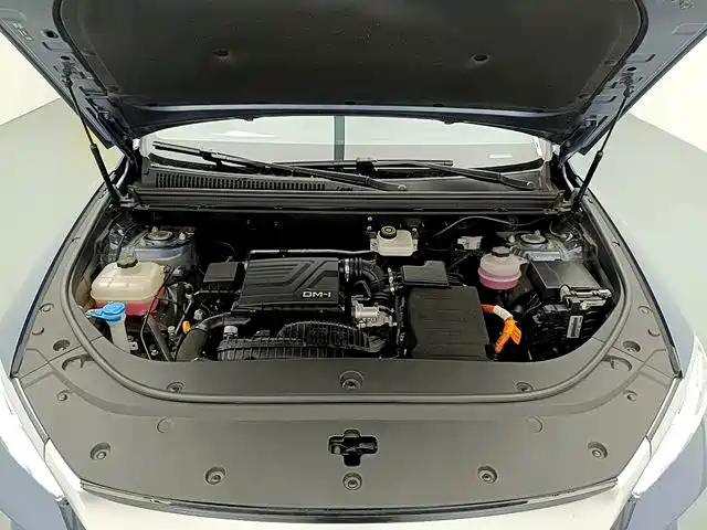 BYD Pro New Energy — миниатюра 16