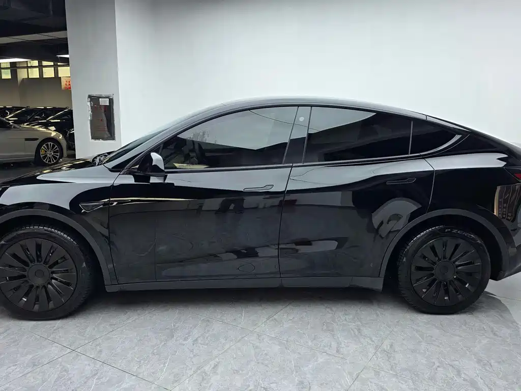 Tesla Model Y — миниатюра 5