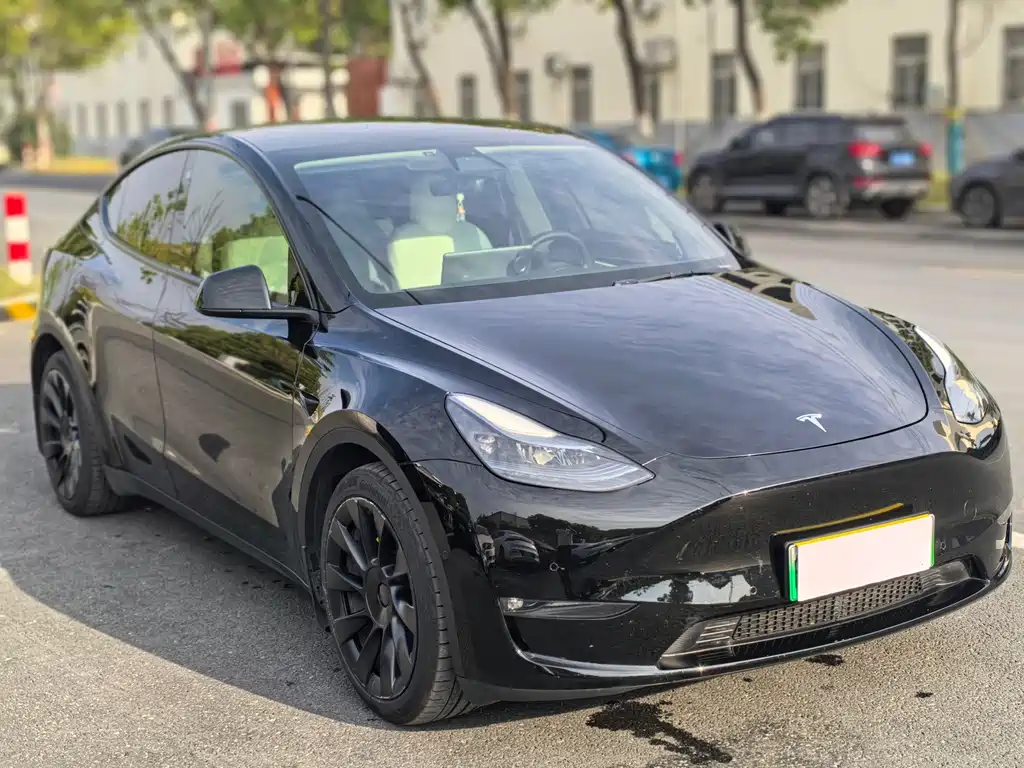 Tesla Model Y — миниатюра 3